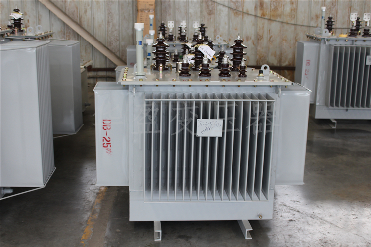 恩施S20-800kVA/10kV/0.4kV变压器